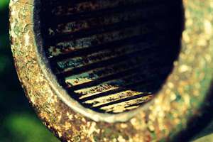 梦见窝屎是什么意思(梦见自己窝屎什么预兆)