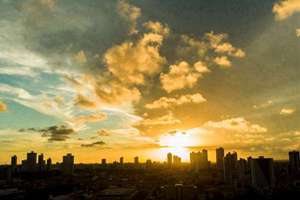 梦见好多大虾(梦到很多大虾征兆好不好)