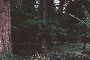 琛字起名配什么字好(琛字后面加个字起名男孩)