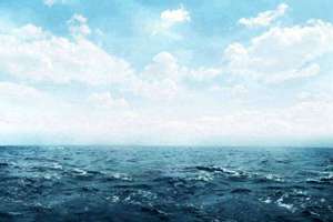 酸菜鱼起名(酸菜鱼店取什么名字)