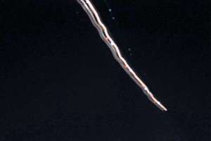 梦见死人了又活了(梦见死人又活了有什么征兆)