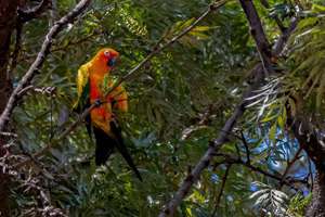 梦见买了很多菜(梦见买了很多菜有什么预兆)