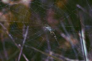 私房美食起名(好听的私房菜名字好听的私房菜名字有哪些)