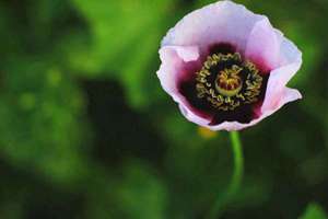 起名字七画(7画的字有哪些起名字用)