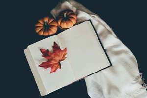 梦见一条红鱼(梦见一条红鱼有什么预兆)