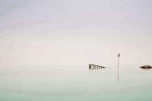 梦见踢狗(梦见自己踢狗有什么预兆)