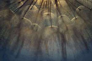 梦见一杯水(杯水是什么预兆)