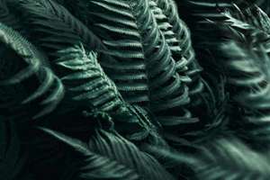 周公解梦梦见湖水(梦见湖水是什么意思)