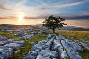 梦见自己生了小孩(周公解梦梦到自己生小孩是什么意思)