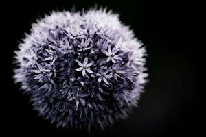 梦见老婆溺水身亡(梦见老婆溺水身亡是什么意思)