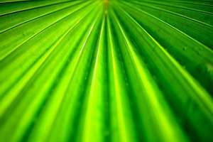 女人梦见大便沾衣服上(女人梦见拉屎弄到自己衣服上是什么意思)