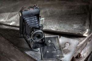 睡觉梦见老虎(晚上梦见老虎什么预兆)