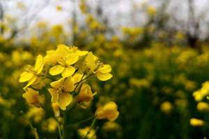 起名字 女孩100分(满分高分的女孩名字有哪些)