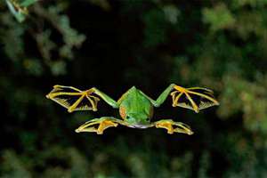 瘟疫起名(瘟字什么意思)