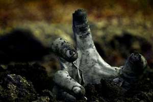 梦见女性朋友怀孕(梦见女性朋友怀孕了意味着什么)