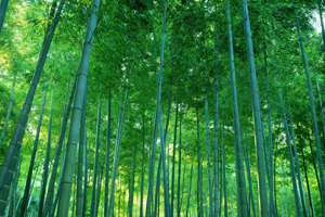 梦见车中车(梦见开中车什么意思)