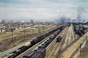 梦见很多韭菜(梦见好多韭菜是什么意思)