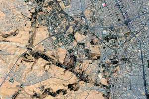 尥蹶子是啥意思(尥蹶子是什么意思)