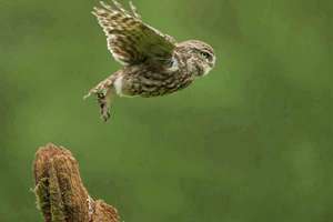 起名农历(起名是按阴历还是阳历啊)