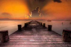 梦见兔子说话(梦见兔子说话是什么意思)