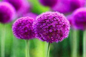 李家起名大全(李家名字男孩起名)