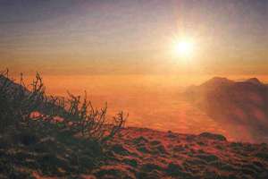 晚上梦见蛇是什么预兆(吉兆还是凶兆)