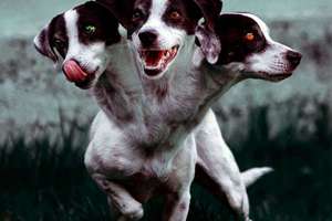 常性男孩起名(常姓男孩起名152个)