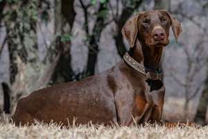 钠起名(钠字取名的含义是什么)