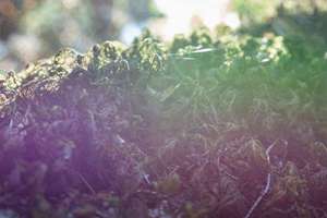 周公解梦梦见晾衣服(衣服是什么预兆)