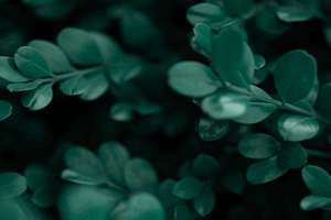 父亲姓李母亲姓王起名(2010年10月父亲姓李母亲姓王给宝宝起名)