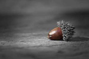 保定光园起名(一家隐藏在老保定街道的老字号)