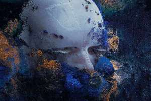 梦见半月(做梦梦见半月形是什么预兆)