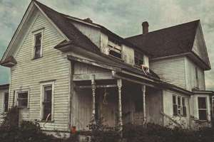 梦见大牛是什么意思(梦见大牛有什么预兆)