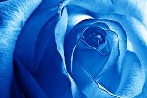 朔州起名馆(同名率高怎么办)