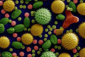 梦见别人扫墓(梦见别人在扫墓有什么预兆)