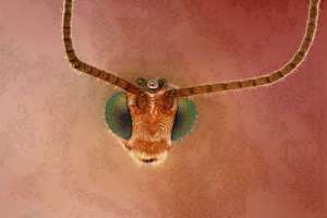 梦见不经常联系的亲戚(梦见长年不联系的亲戚是什么意思)