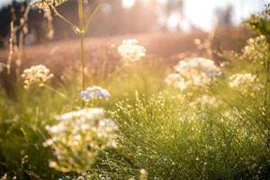 梦见黑帽子(预兆周公解梦寓意)