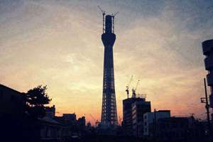 梦见捡到鸟(梦见自己捡到一只小鸟有什么预兆)