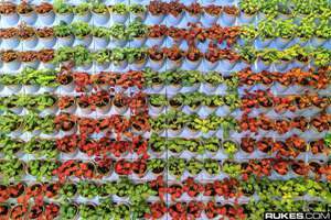 2020鼠年男孩取名字寓意好的字(2020款鼠宝宝起名宜忌用字)