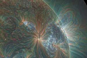 皮草品牌起名(皮草店起什么名字好听)