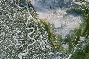 梦见刻龙(梦到雕刻的龙征兆好不好)