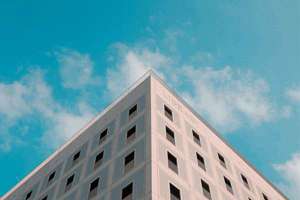 梦见架黄瓜(梦见黄瓜架上很多黄瓜意味着什么)