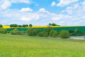 梦见好多人聚餐(周公解梦梦到很多人聚会是什么意思)