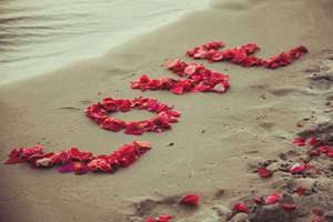 梦见被兔子咬了(梦到被兔子咬了什么预兆)