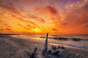 做梦梦到蛇是什么意思(梦见蛇是什么兆头)