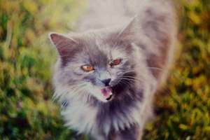 梦见被酒泼(男人梦见吃饭时被女人泼酒是什么意思)