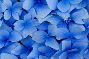 起名的同义词(同义词是什么意思)