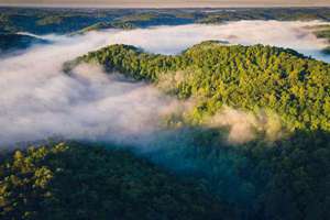 董字怎么起名(董姓氏有哪些好名字)