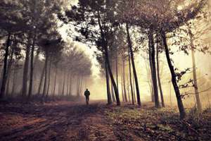 梦见小男孩丢了(梦到了男孩丢了有什么预兆)