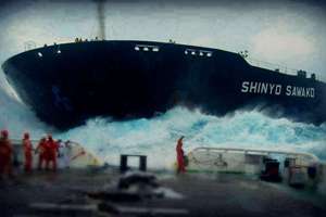 梦见怀里抱着猫(梦见怀里抱着一只猫什么预兆)